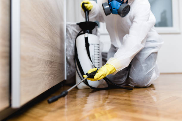 Best Wasp Removal Services  in Cloquet, MN