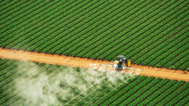 Best Pest Control Cost  in Cloquet, MN