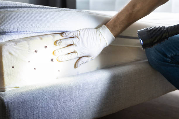 Best Commercial Pest Control Services  in Cloquet, MN